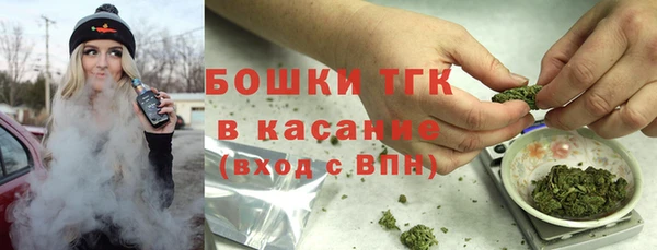 гашик Аркадак