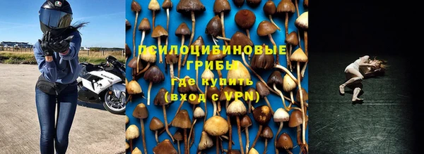 стафф Алзамай
