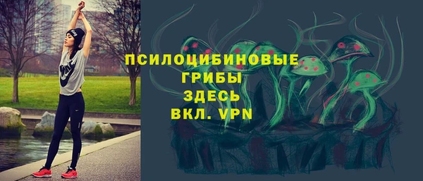стафф Алзамай