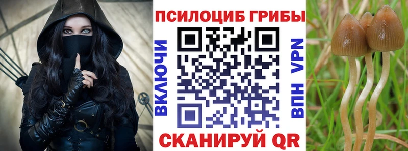 Псилоцибиновые грибы GOLDEN TEACHER  как найти наркотики  МЕГА сайт  Уварово 